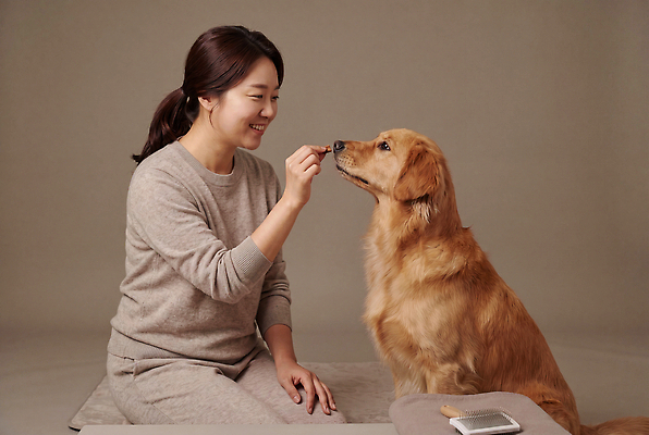 동물 감정 음식 컨셉 모션 사람 내부 반려동물 개 리트리버 CG 파일형식 AI포토 여자 골든리트리버 디저트 연습 행복 소통 사랑 관심 실내 편집이미지 편집실사 JPG 반려견 돌봄 AI인물포토 AI콘텐츠 의료성형뷰티
