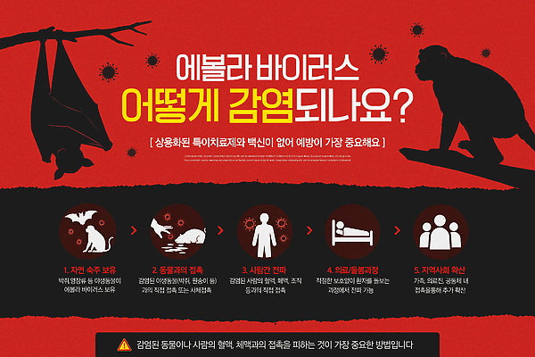 템플릿 컨셉 의학 질병 감염 파일형식 에볼라 바이러스 동물 사람 정보 안전 건강 전염 전파 예방 PSD 편집 이미지템플릿 전염병 사회이슈