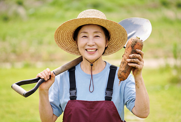 JPG 편집이미지 여자 행복 할머니 농업 채소 웃음 햇빛 농장 당근 수확 작업 농부 삽 멜빵바지 밀짚모자 의료성형뷰티 편집실사 AI인물포토 AI콘텐츠 직업 모자 노년 감정 산업 바지 뿌리채소 표정 사람 빛 멜빵 CG 파일형식 AI포토 잡화 하의 성인 옷