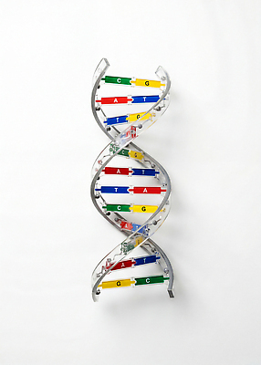 JPG 편집이미지 교육 과학 나선형 실험 학습 모형 DNA 생물학 분자구조 생명과학 편집실사 AI컴퓨터그래픽 AI콘텐츠 무늬 생명공학 CG 파일형식 의학