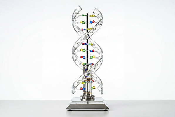 JPG 편집이미지 교육 과학 실험 모형 DNA 생물학 분자구조 이중나선 편집실사 AI컴퓨터그래픽 AI콘텐츠 생명공학 CG 파일형식 의학