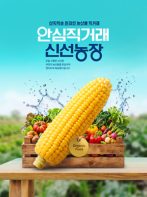 PSD 편집이미지 채소 과일 자연 건강 옥수수 농작물 상자 농장 신선 시장 나무상자 유기농 신선도 직거래 이미지편집 웰빙 농업 곡류 거래 배송 생태계 파일형식 산업