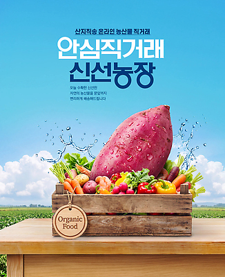 PSD 편집이미지 음식 채소 자연 하늘 건강 농작물 상자 농장 신선 나무상자 유기농 고구마 먹거리 신선도 직거래 이미지편집 웰빙 농업 뿌리채소 거래 배송 생태계 파일형식 산업