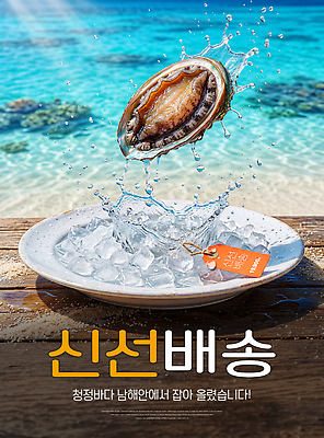 PSD 편집이미지 바다 재료 해변 여름 얼음 신선 해산물 배송 전복 청정 이미지편집 자연요소 계절 어패류 파일형식 동물