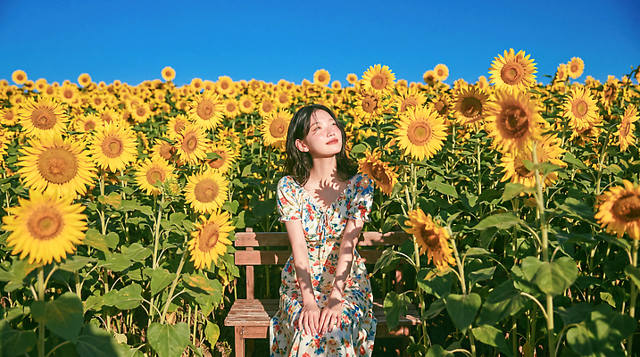 JPG 식물 편집이미지 여자 꽃 밭 자연 하늘 해바라기 풍경 일상 여름 햇빛 나무의자 의료성형뷰티 편집실사 AI인물포토 AI콘텐츠 계절 농업 의자 사람 라이프 목재 빛 CG 생태계 파일형식 AI포토 나무 산업 가구 재료 생활 생활용품 오브젝트