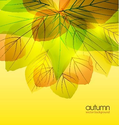 EPS 해외이미지 나무 디자인 계절 백그라운드 컨셉 단풍 잎 패턴 일러스트 텍스트 자연 추상 프레임 건조 미술 야외 장식 빨간색 초록색 빛 태양 갈색 노란색 우주 가을 축하 신용카드 메시지 변화 황금 9월 편지 질감 10월 내추럴 고립 구성 엘리먼트 국경 해외202004 해외일러스트 자연요소 식물 컬러 무늬 문화예술 금융 날짜 생태계 파일형식 벡터