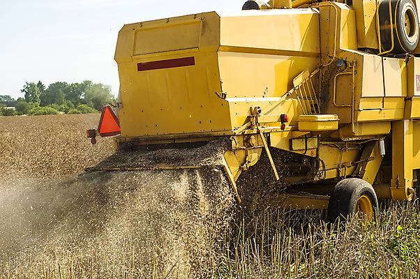 포토 JPG 해외이미지 산업 밭 농업 씨앗 풍경 초원 사람없음 야외 농작물 농장 농경지 수확 추수 가을 밀 트랙터 밀짚 밭일 호밀 해외202004 해외포토 식물 계절 곡류 짚 농기계 특수차량 파일형식