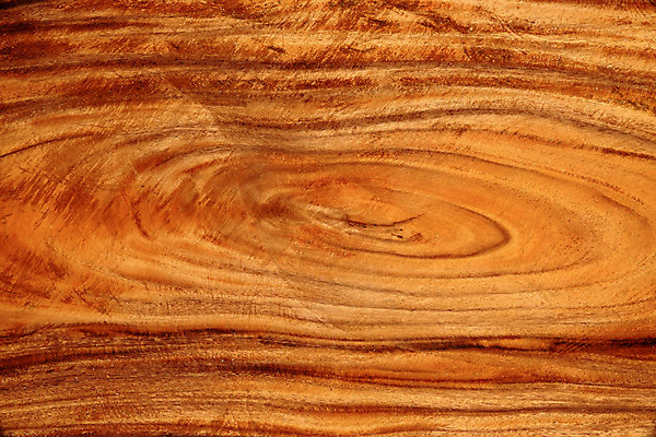 포토 JPG 해외이미지 식물 디자인 벽 가구 백그라운드 패턴 자연 벽지 표면 날씨 바닥 주택 외벽 사람없음 건물 목재 세로 울타리 갈색 줄무늬 골동품 소나무 판넬 거친 널 낟알 목수 질감 목공예 잡동사니 내추럴 그런지 사생활 수목 옛날 줄서기 해외202004 해외포토 나무 직업 건축물 컬러 생활용품 무늬 재료 모션 담장 공예 생태계 파일형식