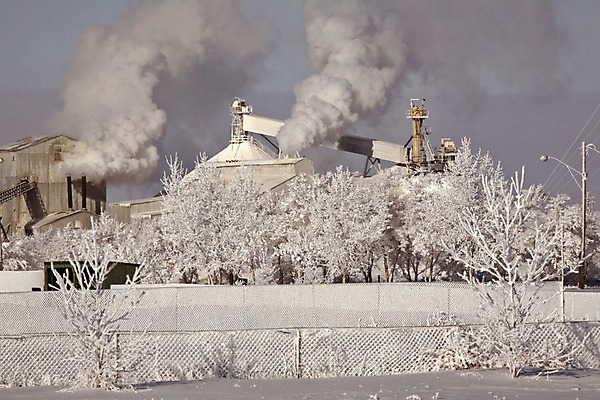 포토 JPG 해외이미지 나무 계절 여행 캐나다 겨울 날씨 사람없음 가로 울타리 디지털 사진촬영 시골 그림 서리 장면 해외202004 해외포토 식물 북아메리카 담장 촬영 파일형식