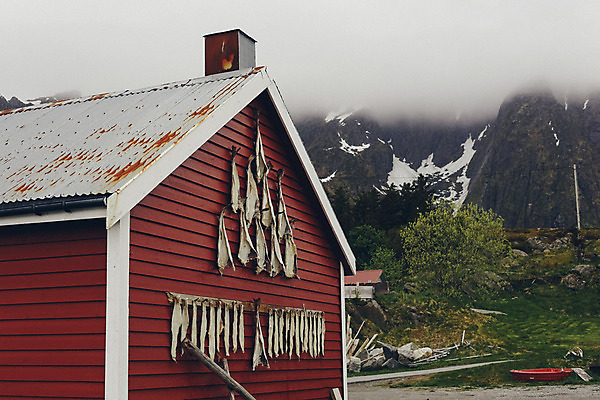 포토 JPG 해외이미지 전통 호수 바다 섬 여행 요트 자연 하늘 낚시 주택 항해 파노라마 노르웨이 풍경 사람없음 건물 목재 물 컬러풀 태양 여행객 마을 항구 침묵 전원 시골 만 보트 북극 그림 낚시꾼 북쪽 포트 타운 해외202004 해외포토 자연요소 나무 건축물 유럽 컬러 배_교통 재료 교통시설 레저 촬영기법 사람 소리 도시 전기에너지 극지방 방향 생태계 파일형식