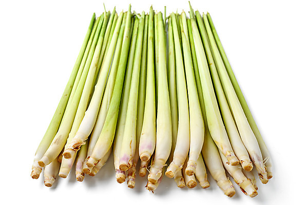 포토 JPG 해외이미지 식물 음식 줄기 채소 재료 태국 자연 사람없음 초록색 신선 양념 레몬 허브 향신료 유기농 해외202004 해외포토 웰빙 아시아 컬러 과일 생태계 향미료 파일형식