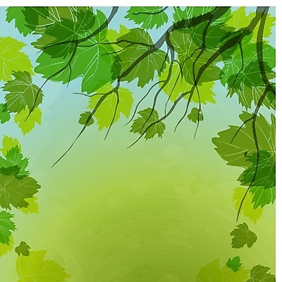 EPS 해외이미지 모양 식물 디자인 계절 백그라운드 컨셉 잎 패턴 일러스트 자연 추상 미술 잔디 아웃포커스 장식 초록색 빛 컬러풀 태양 환경 정원 맑음 봄 거품 성장 신선 닫기 에코 질감 보케 부드러움 내추럴 블러 생태학 엘리먼트 효과 해외202004 해외일러스트 자연요소 교육 컬러 무늬 모션 날씨 문화예술 촬영기법 감각 생태계 파일형식 벡터