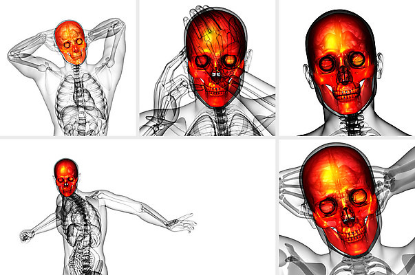 포토 JPG 해외이미지 해부 뼈 골격 건강 사람 사람없음 머리 3D 죽음 턱 해골모형 해외202004 해외포토 의학 신체부위 모형 디지털합성 파일형식
