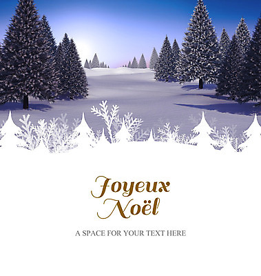 포토 JPG 해외이미지 나무 크리스마스 겨울 텍스트 자연 크리스마스카드 풍경 사람없음 컴퓨터그래픽 크리스마스트리 평화 환경 디지털 얼음 추위 인사 메시지 숲 전나무 프랑스어 눈내림 국경 해외202004 해외포토 자연요소 식물 문자 계절 기념일 컨셉 카드_감사 눈_날씨 그래픽 예절 생태계 파일형식