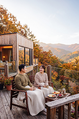 JPG 나무 편집이미지 커플 여자 남자 자연 단풍나무 휴식 산 주택 대화 사랑 풍경 발코니 가을 담요 즐거움 의료성형뷰티 편집실사 AI인물포토 AI콘텐츠 식물 계절 감정 컨셉 단풍 관계 말하기 사람 건물 CG 생태계 파일형식 AI포토 건축물 잎 모션 건축