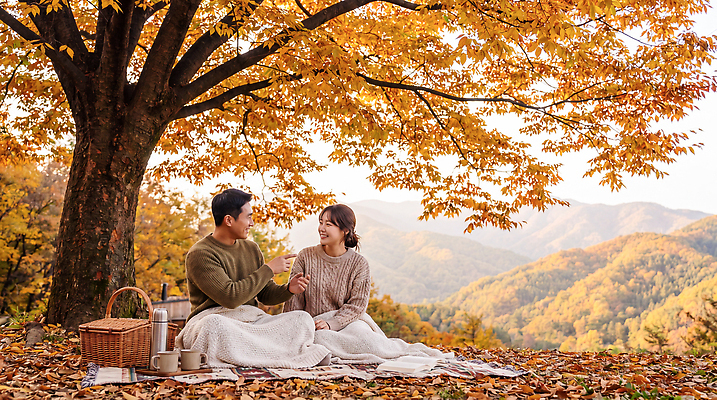 JPG 나무 편집이미지 커플 여자 남자 음식 단풍 자연 단풍나무 산 대화 풍경 소풍 가을 담요 즐거움 담소 의료성형뷰티 편집실사 AI인물포토 AI콘텐츠 식물 계절 감정 잎 관계 말하기 사람 야외활동 CG 생태계 파일형식 AI포토 모션
