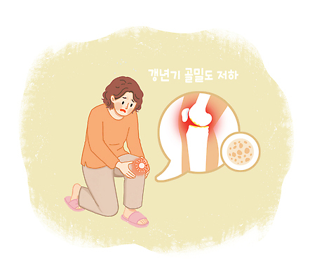 PSD 여자 중년 신체 일러스트 뼈 표정 건강 앉기 일상 그림 무릎 감싸기 갱년기 무릎통증 골밀도 국내일러스트 모션 사람 성인 라이프 신체부위 고통 증상 파일형식 감정 생활