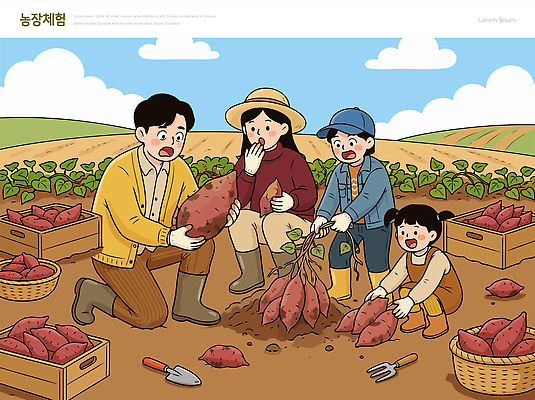 농업 일러스트 가족 자연 농작물 농장 바구니 농사 수확 작업 농부 땅 고구마 수확철 국내일러스트 AI파일 직업 산업 관계 뿌리채소 생태계 파일형식 벡터 채소