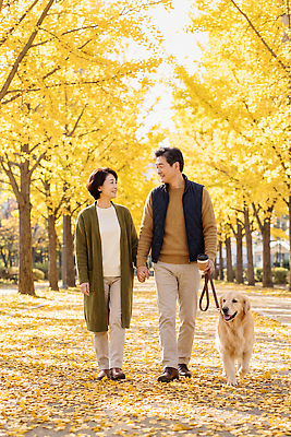 JPG 나무 편집이미지 부부 공원 반려견 길 단풍 웃음 일상 노란색 손잡기 산책 산책로 가을 강아지 편집실사 AI인물포토 AI콘텐츠 식물 커플 계절 공공시설 컬러 잎 모션 휴식 표정 라이프 반려동물 개 CG 파일형식 AI포토 동물 컨셉 포유류 관계 생활 시설