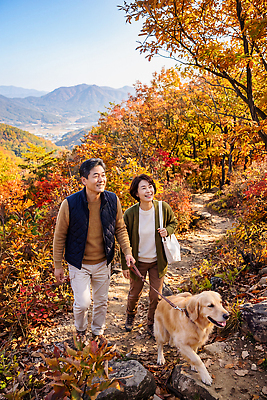 JPG 나무 편집이미지 반려견 여행 단풍 자연 산 풍경 일상 걷기 등산 가을 개 산길 편집실사 AI인물포토 AI콘텐츠 식물 계절 길 잎 포유류 모션 라이프 반려동물 트래킹 CG 생태계 파일형식 AI포토 동물 레저 생활