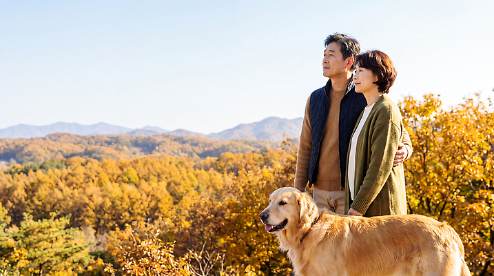 JPG 나무 편집이미지 여자 남자 반려견 자연 하늘 산 함께함 사람 풍경 일상 가을 즐거움 금강산 의료성형뷰티 편집실사 AI인물포토 AI콘텐츠 식물 계절 감정 컨셉 한국 라이프 반려동물 개 CG 생태계 파일형식 AI포토 동물 아시아 포유류 생활 나라