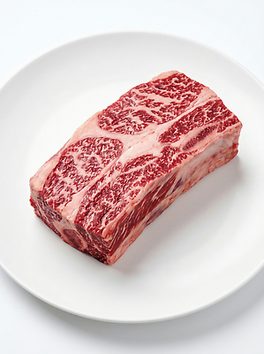 JPG 편집이미지 접시 음식 재료 육류 신선 고급 한우 갈비살 마블링 소갈비 편집실사 AI포토 AI콘텐츠 식기 컨셉 식재료 소고기 CG 갈비 파일형식