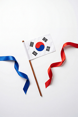 JPG 편집이미지 리본 상징 한국 장식 국기 태극기 편집실사 AI포토 AI콘텐츠 아시아 CG 파일형식 나라
