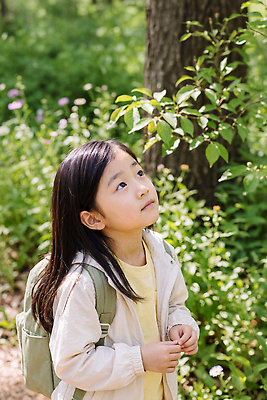 JPG 나무 편집이미지 응시 어린이 가방 자연 소녀 여름 산책 탐험 생태 숲 호기심 관심 의료성형뷰티 편집실사 AI인물포토 AI콘텐츠 식물 시선 잡화 계절 여자 감정 컨셉 휴식 사람 CG 생태계 파일형식 AI포토