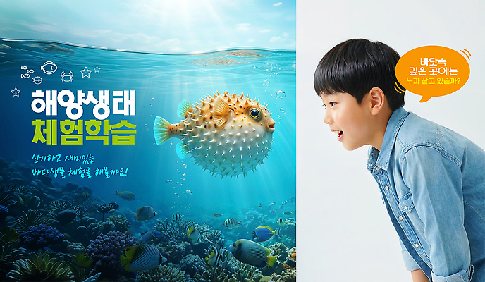 동물 편집이미지 교육 컨셉 모션 사람 수중 수중동물 생태계 파일형식 바다 생태 체험 학습 어린이 어류 바닷속 흥미 관찰 수업 자연 이미지편집 PSD 의료성형뷰티