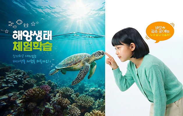 PSD 편집이미지 학생 교육 바다 자연 생물 환경 수영 수중동물 관찰 체험학습 거북이 수족관 이미지편집 동물 파충류 모션 수상스포츠 체험 생태계 파일형식 스포츠 컨셉