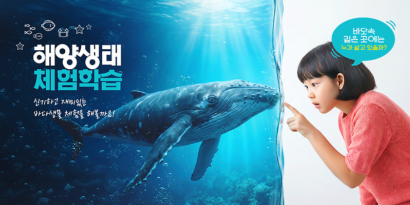 동물 편집이미지 감정 컨셉 포유류 모션 사람 수중 수중동물 수상스포츠 체험 파일형식 바다 생태 체험학습 고래 어린이 바닷속 수조 교육 관찰 수영 즐거움 과학 이미지편집 PSD 의료성형뷰티