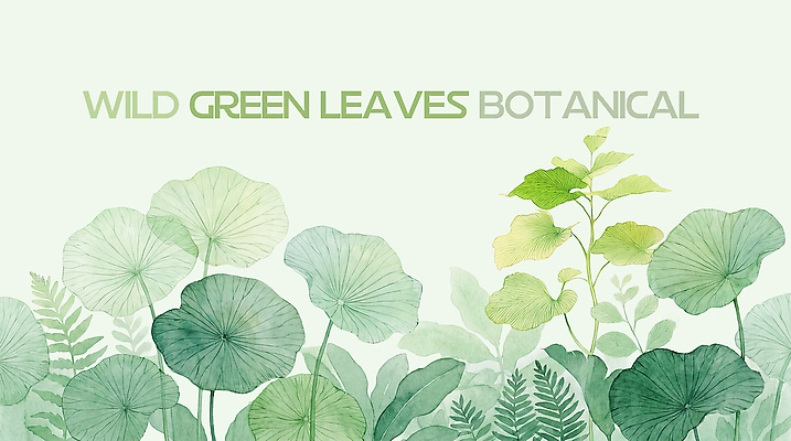 PSD 식물 디자인 화초 예술 백그라운드 잎 일러스트 자연 초록색 그림 국내일러스트 컬러 생태계 파일형식