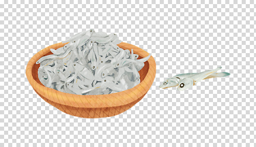 나무 편집이미지 음식 재료 자연 바닥 어류 요리 장보기 바구니 식사 수조 해산물 PNG 식물 수중동물 생태계 파일형식 동물