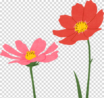 식물 편집이미지 디자인 꽃잎 꽃 줄기 분홍색 잎 자연 생명 빨간색 여름 봄 PNG 나란히 계절 컬러 생태계 파일형식