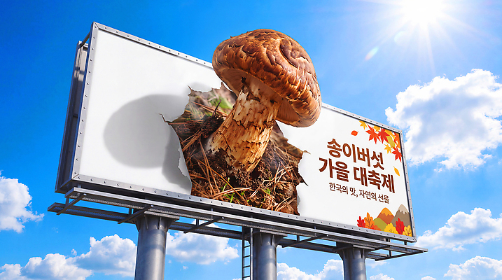 PSD 편집이미지 음식 여행 자연 안내 한국 광고판 이벤트 농작물 햇빛 축제 버섯 가을 특산물 송이버섯 옥외광고 이미지편집 계절 아시아 농업 알림판 빛 생태계 판 파일형식 나라 산업