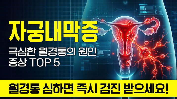 PSD 편집이미지 엑스레이 건강 진료 고통 예방 생리통 증상 자궁내막증 이미지편집 감정 의학 질병 파일형식