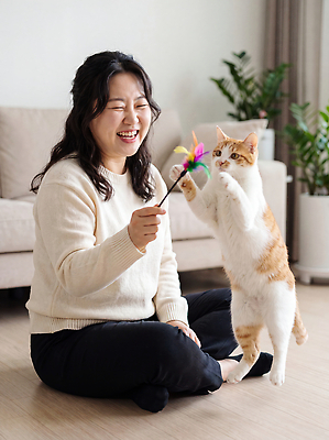 JPG 동물 편집이미지 여자 행복 거실 가족 실내 웃음 일상 생활 반려동물 장난감 고양이 즐거움 놀기 의료성형뷰티 편집실사 감정 포유류 관계 모션 표정 사람 내부 라이프 CG 파일형식