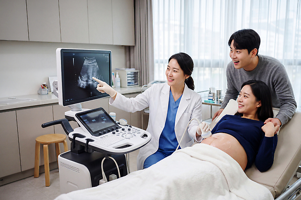 JPG 편집이미지 여자 남편 건강 병원 부모 임산부 진료 간호사 의료진 의사 아기 검사 산부인과 태아 산부인과의사 초음파 의료성형뷰티 편집실사 직업 의학 가족 사람 임신 CG 파일형식 관계