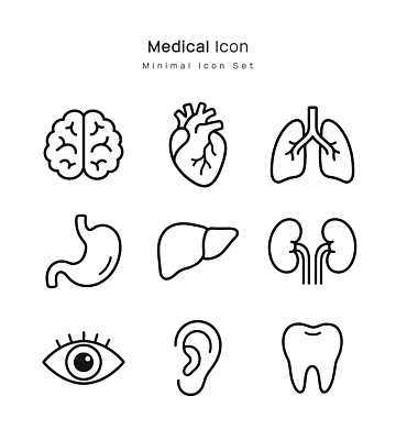 디자인 일러스트 의학 건강 심장 눈 신장 허파 이 치아 뇌 간 귀 위 국내일러스트 AI파일 신체부위 소화기관 비뇨기관 호흡기관 장기 파일형식 벡터 신체 사람