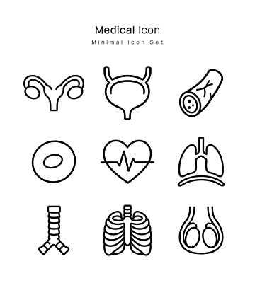 디자인 일러스트 의학 세포 건강 기도 심장 신장 허파 혈관 자궁 방광 국내일러스트 AI파일 비뇨기관 호흡기관 장기 파일형식 벡터 신체