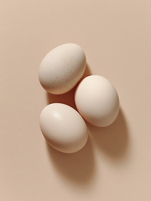 JPG 편집이미지 음식 재료 자연 조명 건강 요리 계란 부드러움 나란히 단백질 편집실사 알 감각 CG 생태계 영양소 파일형식