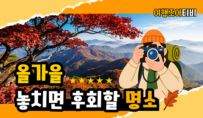 나무 템플릿 남자 자연 단풍나무 산 풍경 야외 태양 카메라 사진촬영 가을여행 브이로그 유튜브 썸네일 이미지템플릿 AI파일 자연요소 식물 라이프스타일 여행 단풍 사람 전자제품 촬영 가을 생태계 동영상 파일형식 벡터 계절 잎 생활