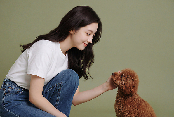 JPG 편집이미지 응시 여자 사랑 반려동물 강아지 작음 즐거움 푸들 의료성형뷰티 쓰다듬기 편집실사 AI인물포토 AI콘텐츠 동물 시선 감정 모션 사람 개 크기 CG 파일형식 AI포토 포유류