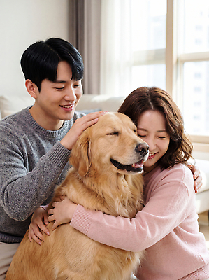JPG 편집이미지 부부 여자 남자 행복 반려견 거실 가족 포옹 실내 사랑 웃음 반려동물 골든리트리버 강아지 의료성형뷰티 편집실사 동물 커플 감정 관계 안기 표정 사람 내부 개 리트리버 CG 파일형식 포유류 모션