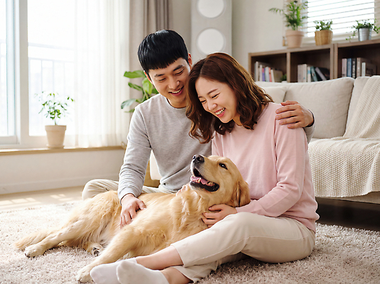 JPG 편집이미지 부부 여자 남자 행복 반려견 거실 가족 함께함 실내 웃음 라이프 반려동물 소파 개 의료성형뷰티 쓰다듬기 편집실사 동물 커플 감정 컨셉 의자 포유류 관계 모션 표정 사람 내부 생활 CG 파일형식 가구 생활용품 오브젝트