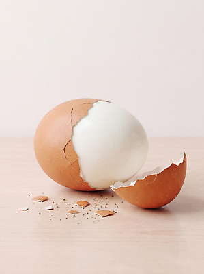 JPG 편집이미지 음식 조각 재료 계란 껍질 신선 깨짐 편집실사 AI포토 AI콘텐츠 컨셉 알 CG 파일형식