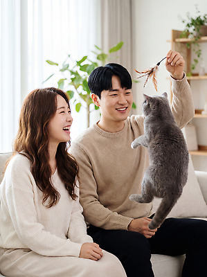 동물 커플 감정 포유류 관계 모션 표정 내부 반려동물 CG 파일형식 부부 고양이 장난감 놀기 행복 웃음 생활 가족 즐거움 실내 사람 편집이미지 편집실사 JPG 의료성형뷰티