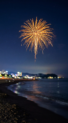 JPG 편집이미지 기념일 바다 여행 하늘 불꽃놀이 풍경 이벤트 해변 여름 빛 축제 도시 밤 즐거움 편집포토 편집실사 AI포토 AI콘텐츠 계절 감정 놀이 CG 파일형식