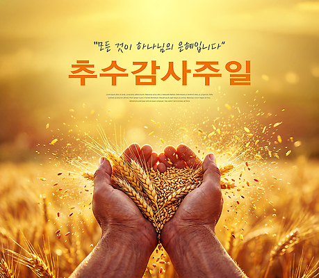 PSD 편집이미지 손 농업 자연 곡류 초원 농사 축제 수확 밀 감사 추수감사절 풍년 의료성형뷰티 이미지편집 감정 산업 기독교 신체부위 생태계 파일형식 종교 사람
