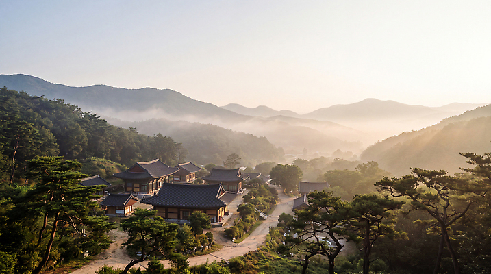 JPG 나무 편집이미지 전통 길 자연 아침 산 한국 풍경 건물 햇빛 안개 사원 산속 고택 편집실사 AI포토 AI콘텐츠 주간 식물 건축물 아시아 날씨 빛 CG 생태계 파일형식 자연요소 건축 나라